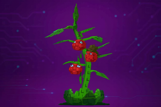 5X TOMATRIOS